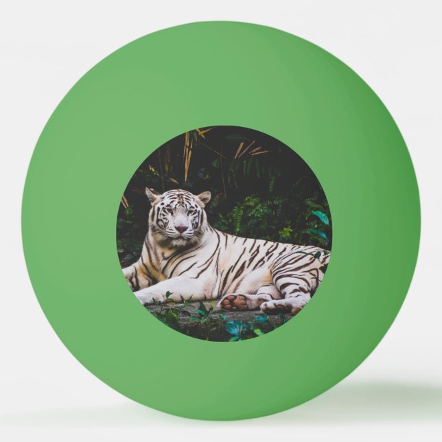 Pelota De Ping Pong Tigre (Anverso)