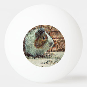 Pelota De Ping Pong toony guinea