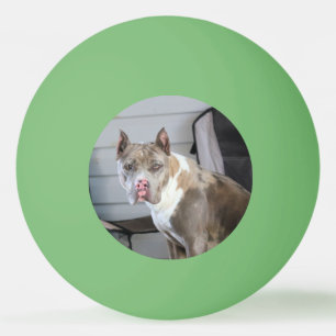 Pelota De Ping Pong Toro de Pitt