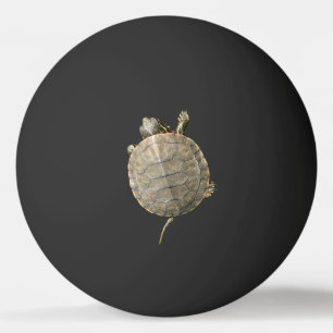 Pelota De Ping Pong Tortuga minúscula en negro