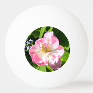 Pelota De Ping Pong Tulipán rosado