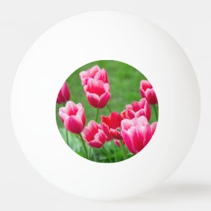 Pelota De Ping Pong Tulipanes escarlatas lindos en el jardín