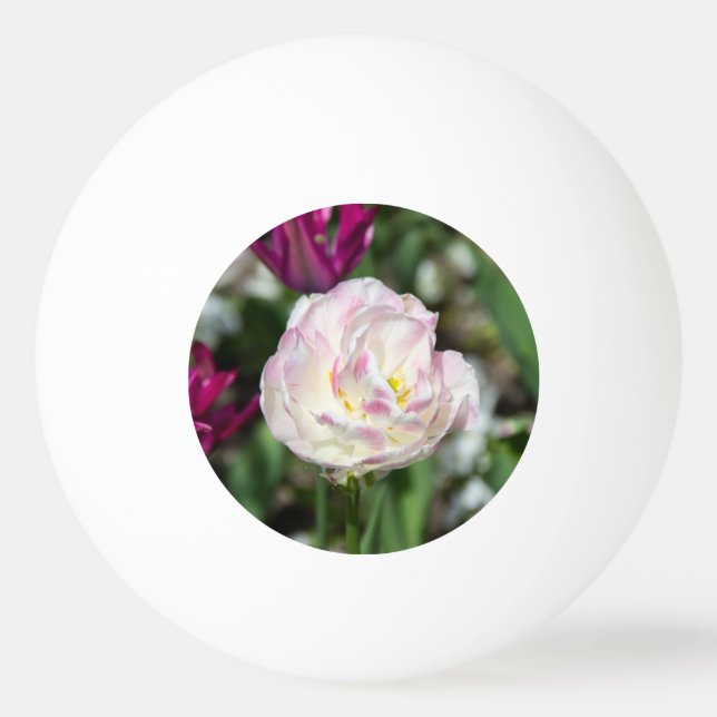 Pelota De Ping Pong Tulipanes rosa brillante en un día soleado (Anverso)