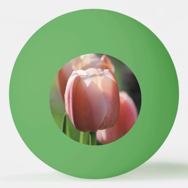 Pelota De Ping Pong Tulipanes rosados (Anverso)