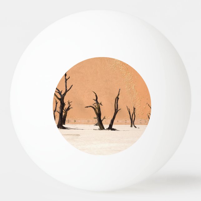 Pelota De Ping Pong Vlei muerto, Namibia (Reverso)