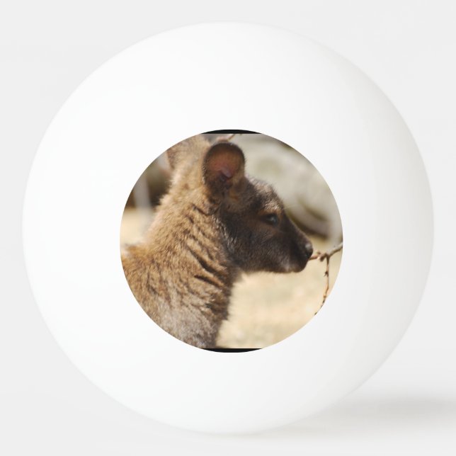 Pelota De Ping Pong Wallaby dulce (Anverso)