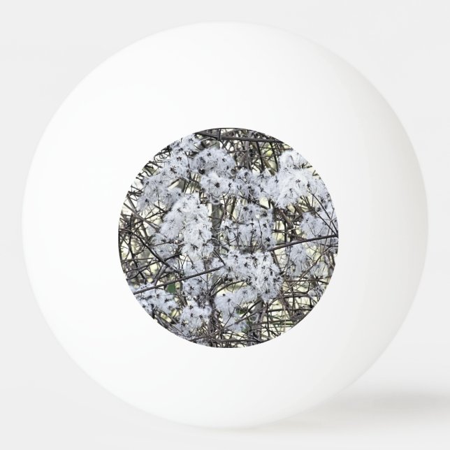 PELOTA DE PING PONG WILD CLEMATIS (Anverso)