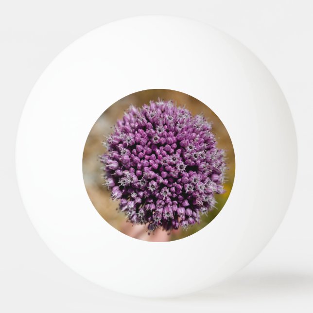 Pelota De Ping Pong Wild Flower (Reverso)