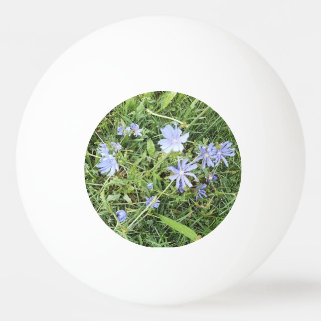 Pelota De Ping Pong Wildflower Ping Pong Ball (Anverso)