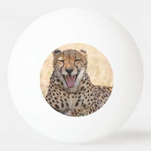 Pelota De Ping Pong Yawning Cheetah
