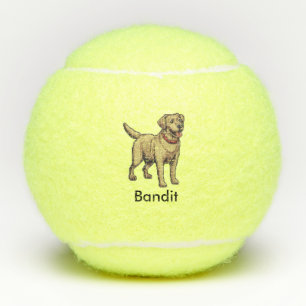 Pelota de tenis de perro recuperadora de labrador