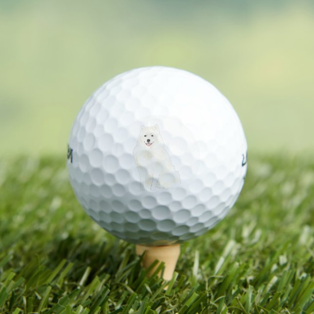 Pelotas de golf (Camiseta in situ)
