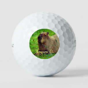 Pelotas De Golf 12 Envase - Animal Capybara Personalizado Fun