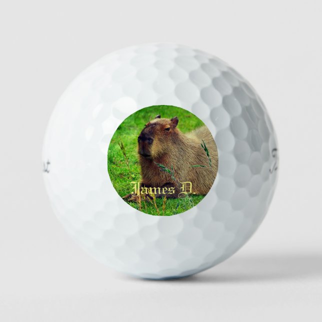 Pelotas De Golf 12 Envase - Animal Capybara Personalizado Fun (Anverso)