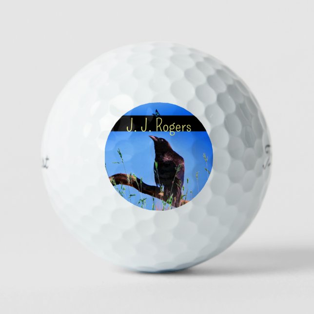 Pelotas De Golf (12 Pack) Vida silvestre Raven Bird Personalizada (Anverso)