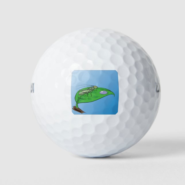 Pelotas De Golf 31 saltamontes (Anverso)