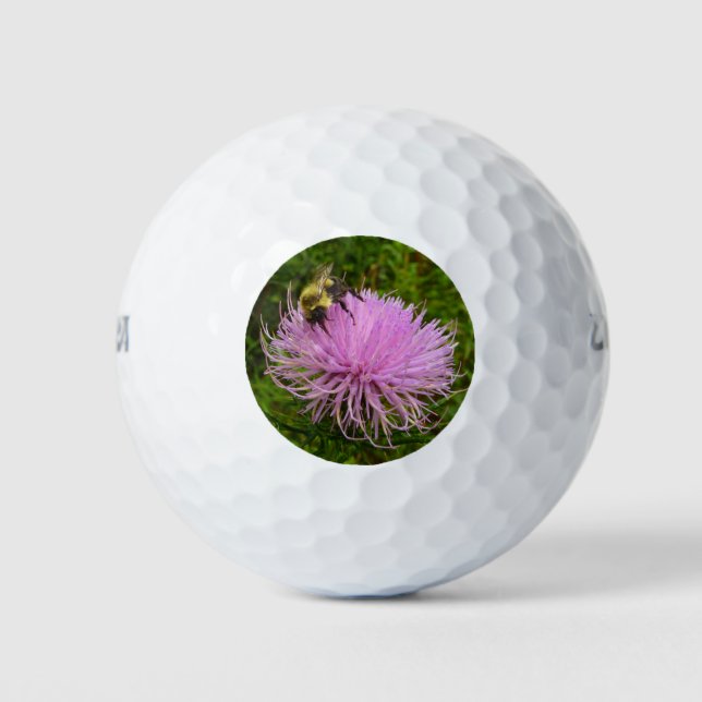 Pelotas De Golf Abeja en Flor de Cardo Naturaleza (Anverso)