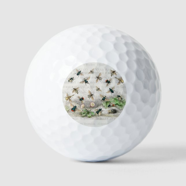 Pelotas De Golf Abeja Miel Trabajador Reina Abejas Antigüo (Anverso)
