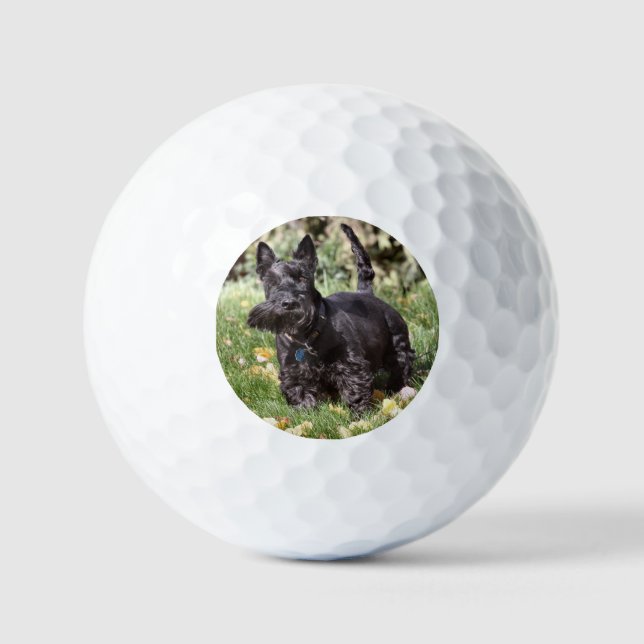 Pelotas De Golf Ach (Anverso)