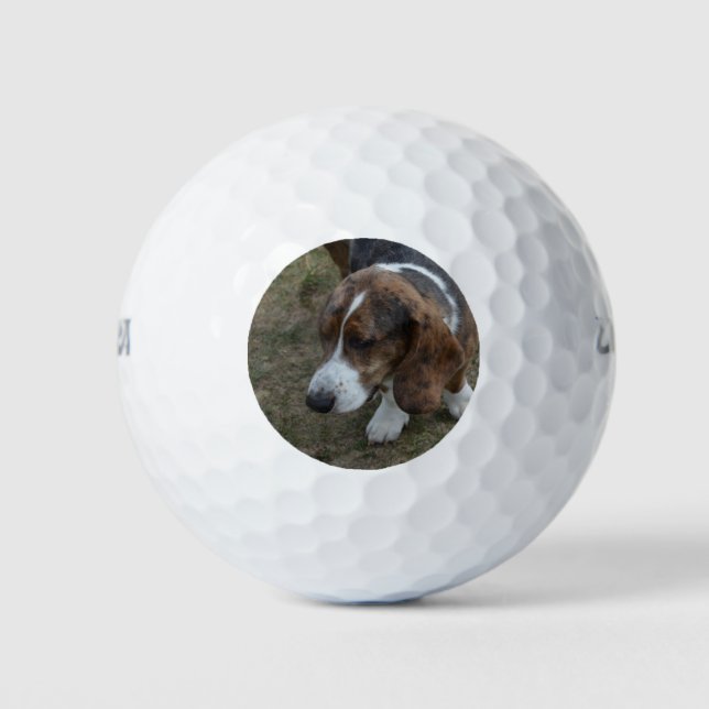 Pelotas De Golf Adorable Basset Hound (Anverso)