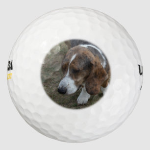 Pelotas De Golf Adorable Basset Hound