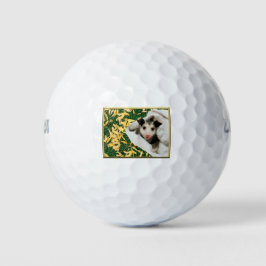 Pelotas De Golf Adorable Bebé Zarigüeya Dulce