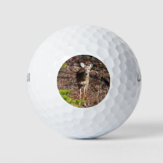 Pelotas De Golf Adorable ciervo en la fotografía natural de Woods