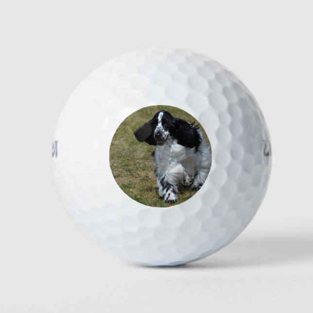 Pelotas De Golf Adorable Cocker Inglés Spaniel (Anverso)