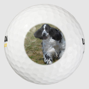 Pelotas De Golf Adorable Cocker Inglés Spaniel