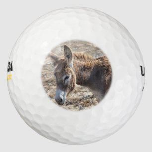 Pelotas De Golf Adorable Donkey