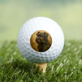 Pelotas De Golf Affenpinscher