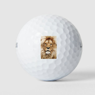Pelotas De Golf Africa Animal Lion Close-Up Detail Eye