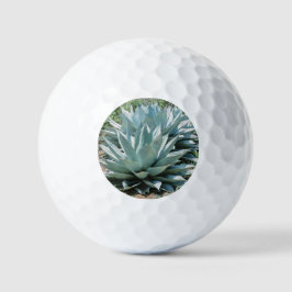 Pelotas De Golf Agave Suculento Plant Cactus Sabio verde