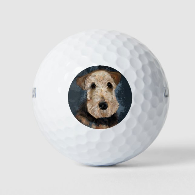 PELOTAS DE GOLF AIREDALE TERRIER (Anverso)