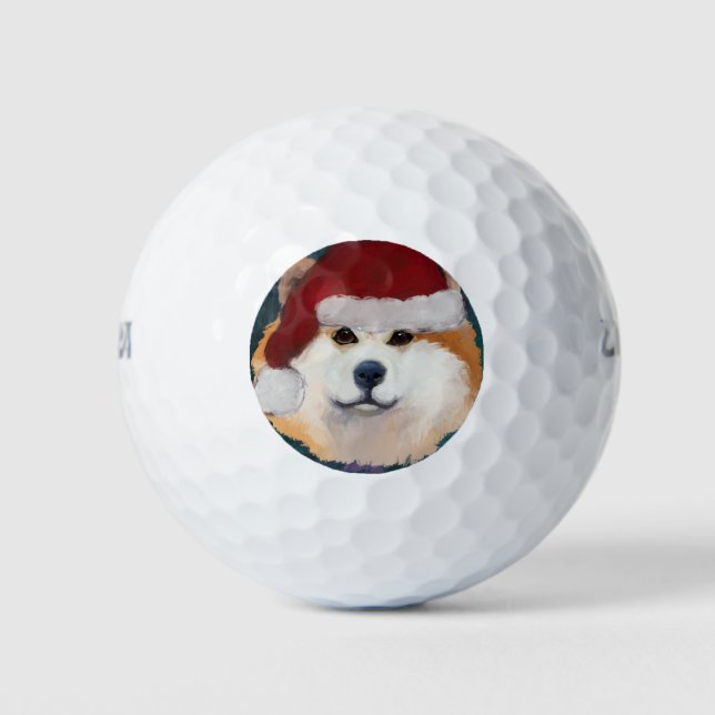 PELOTAS DE GOLF AKITA         (Anverso)