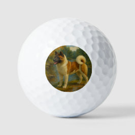 Pelotas De Golf Akita