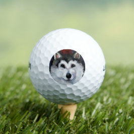 PELOTAS DE GOLF ALASKAN MALAMUTE