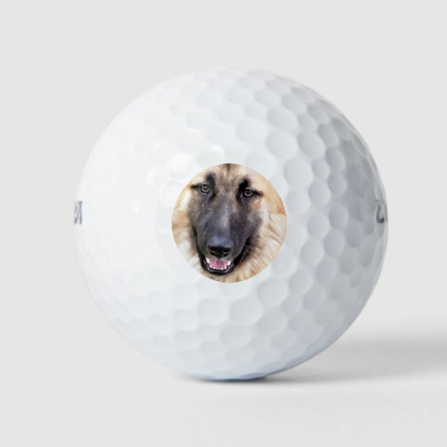 PELOTAS DE GOLF ALEMÁN SHEPHERD DOG (Anverso)