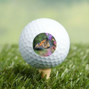 Pelotas De Golf Almuerzo de monarca
