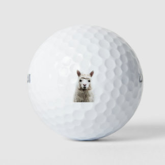 Pelotas De Golf Alpaca blanca