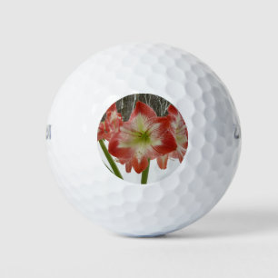 Pelotas De Golf Amaryllis en floral de invierno en la nieve roja f