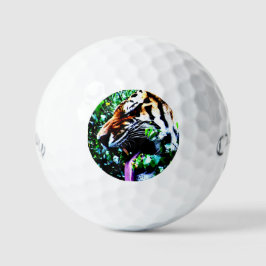 Pelotas De Golf Amur Tiger css gbcna