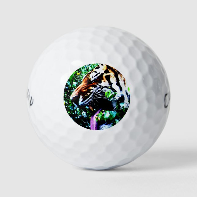 Pelotas De Golf Amur Tiger cwb gbcnm (Anverso)