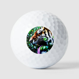 Pelotas De Golf Amur Tiger va gbcna