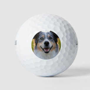 Pelotas De Golf Añadir Personalizar de fotografía Mascota