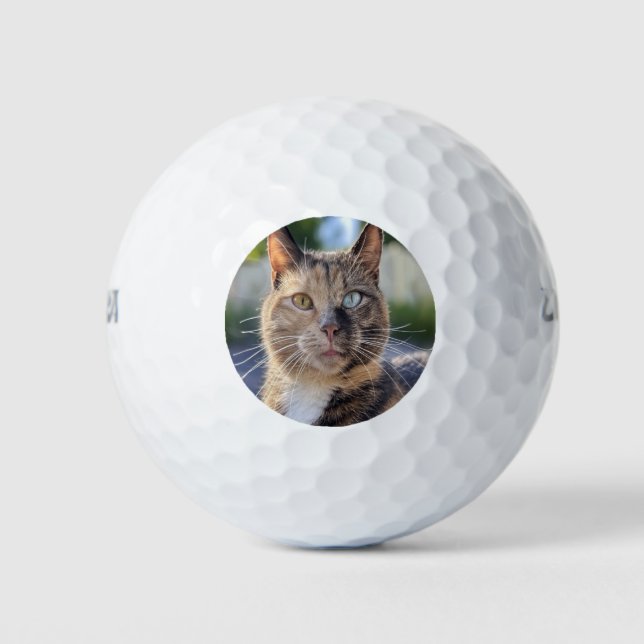 Pelotas De Golf Añadir Personalizar de fotos de gato (Anverso)