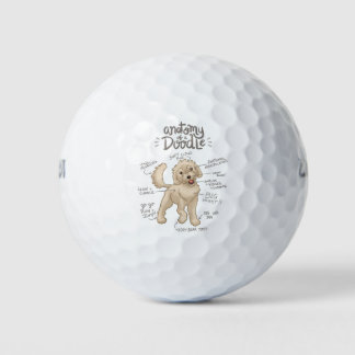 Pelotas De Golf Anatomía de un perro