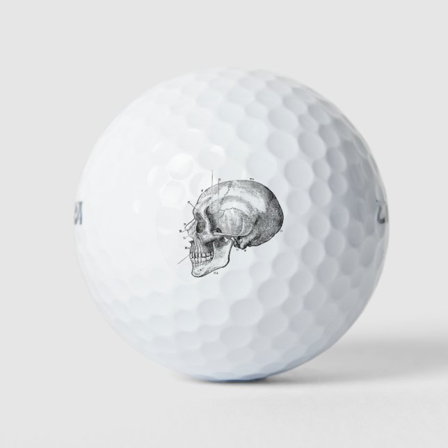 Pelotas De Golf Anatomía divertida (Anverso)