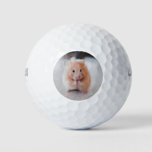 Pelotas De Golf Animales De Amor De Hámster Cute