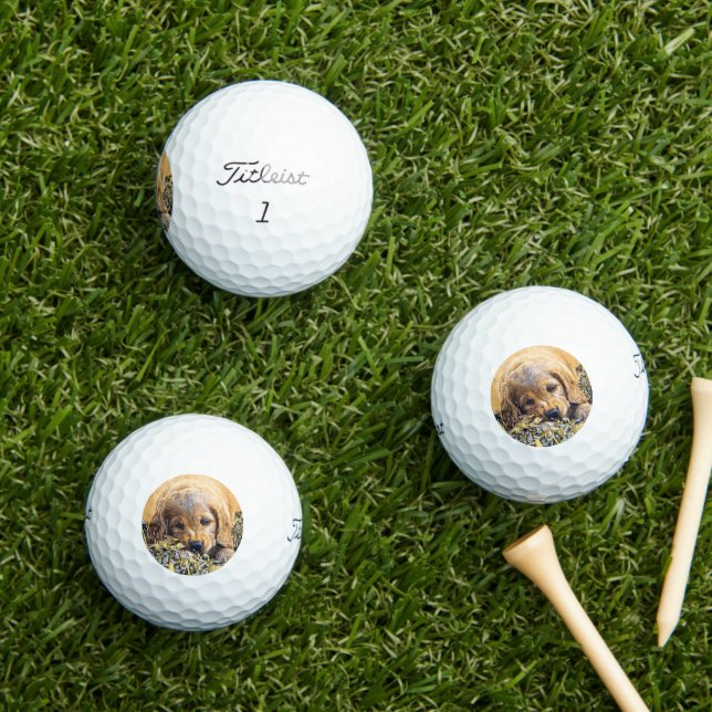 Pelotas De Golf AnimalMix_Dog_005 (Césped in situ)